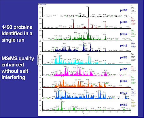 Beas-peak chromatograms